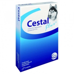 Cestal Plus Flaovour tabletka na odrobaczenie